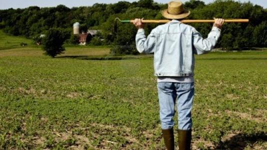 Disoccupazione agricola: domande entro il 31 marzo